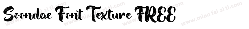 Soondae Font Texture FREE字体转换